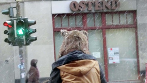 Bären-Alarm - gesehen auf der Bautzner Straße.