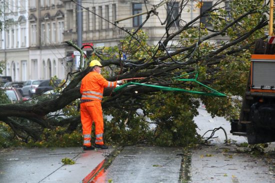 Baum stürzte auf Oberleitung auf der Leipziger Straße - Foto: Roland Halkasch