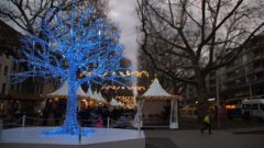 Der Blaue Baum, Wahrzeichen des Augustusmarktes.