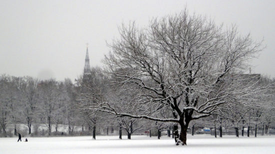 Winterlicher Alaunplatz - Foto: Archiv 2010