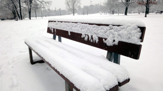 Winterliche Parkpank am Alaunplatz - Foto: Archiv 2010