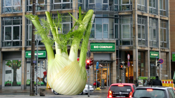 Guido sucht die schöne Fenchel-Frau