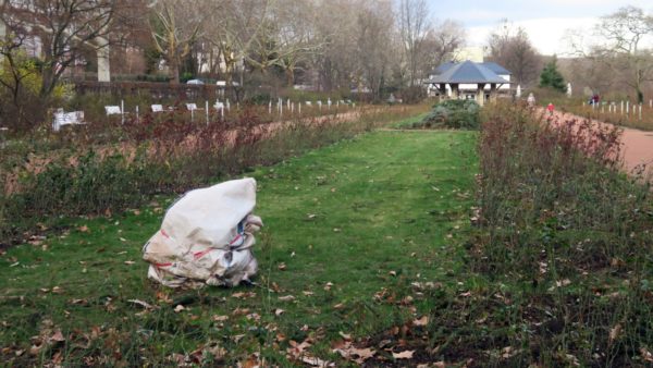 Keine Genesung im Rosengarten.