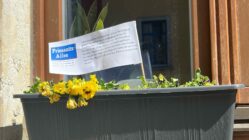 Flower boxes of the Prießnitzallee Initiative - Photo: Anton Launer Archive