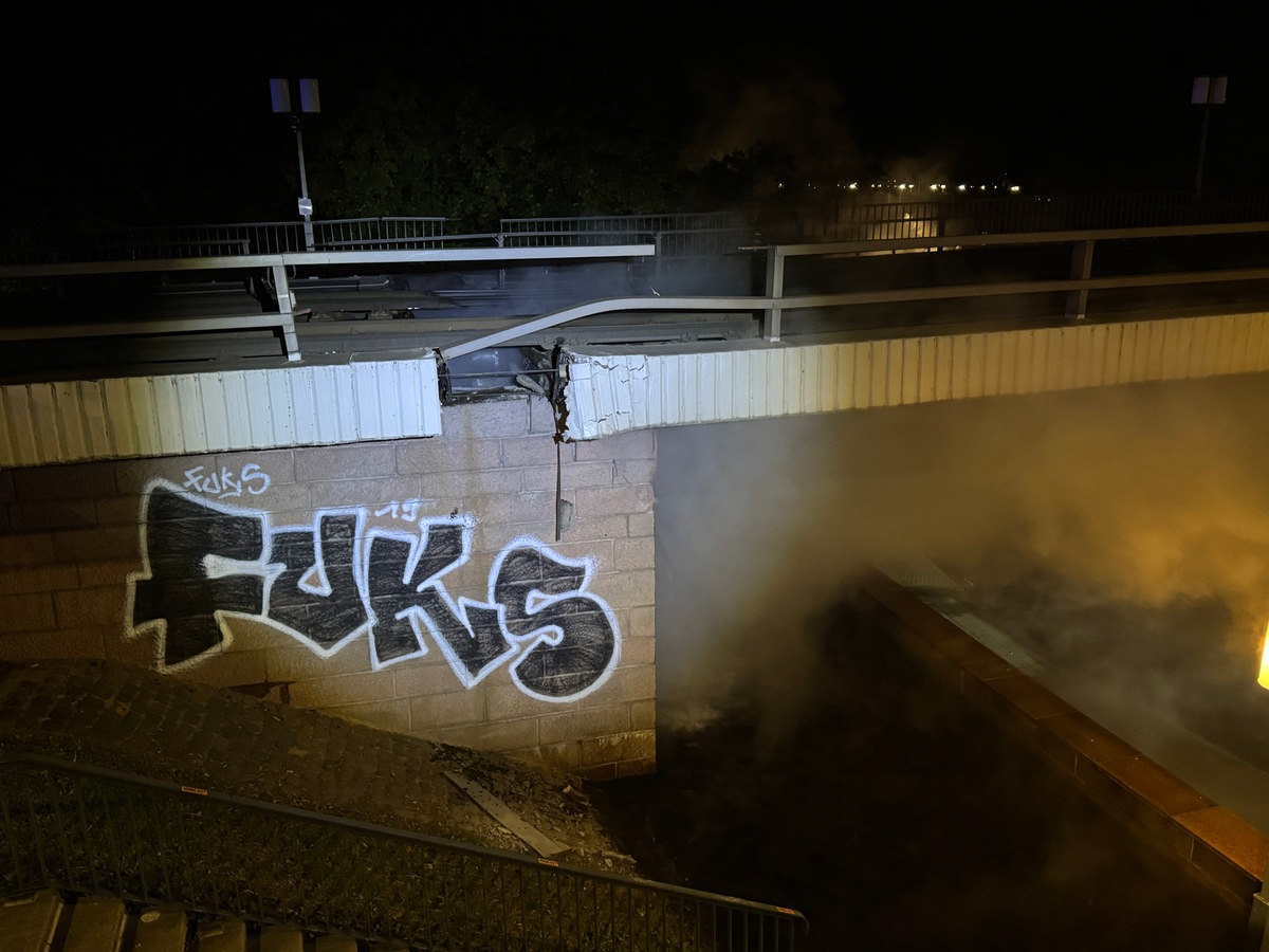 Teileinsturz der Carolabrücke - Photo: Feuerwehr Dresden