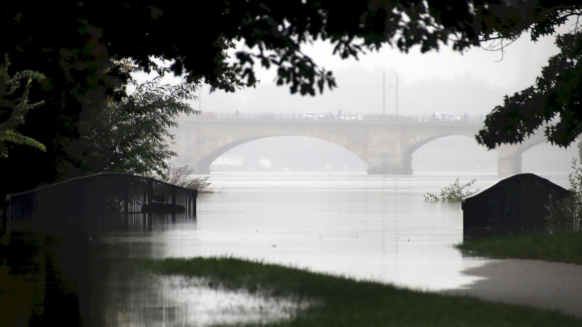 Blick von der Prießnitzmündung in Richtung Albertbrücke. Foto: Anton Launer