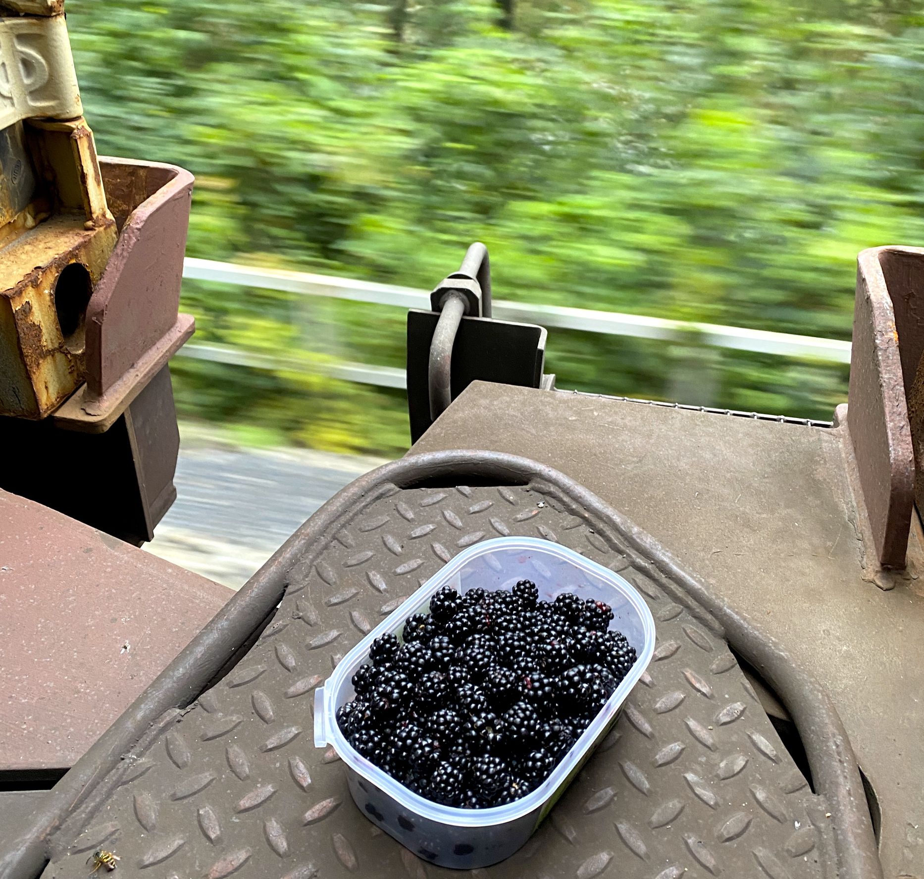 Beeren beim Grenzübertritt - Foto: Jens Besser