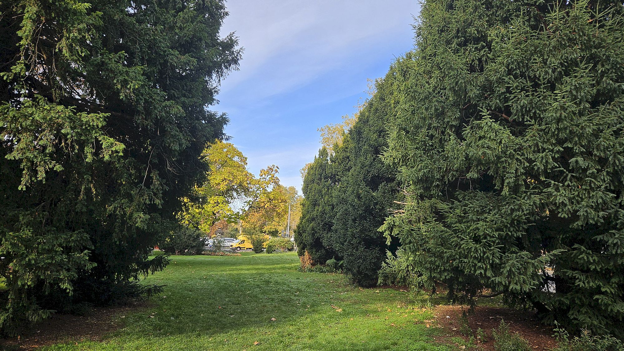 Herbstlicher Park an der Bautzner, Ecke Glacisstraße - Foto: Anton Launer