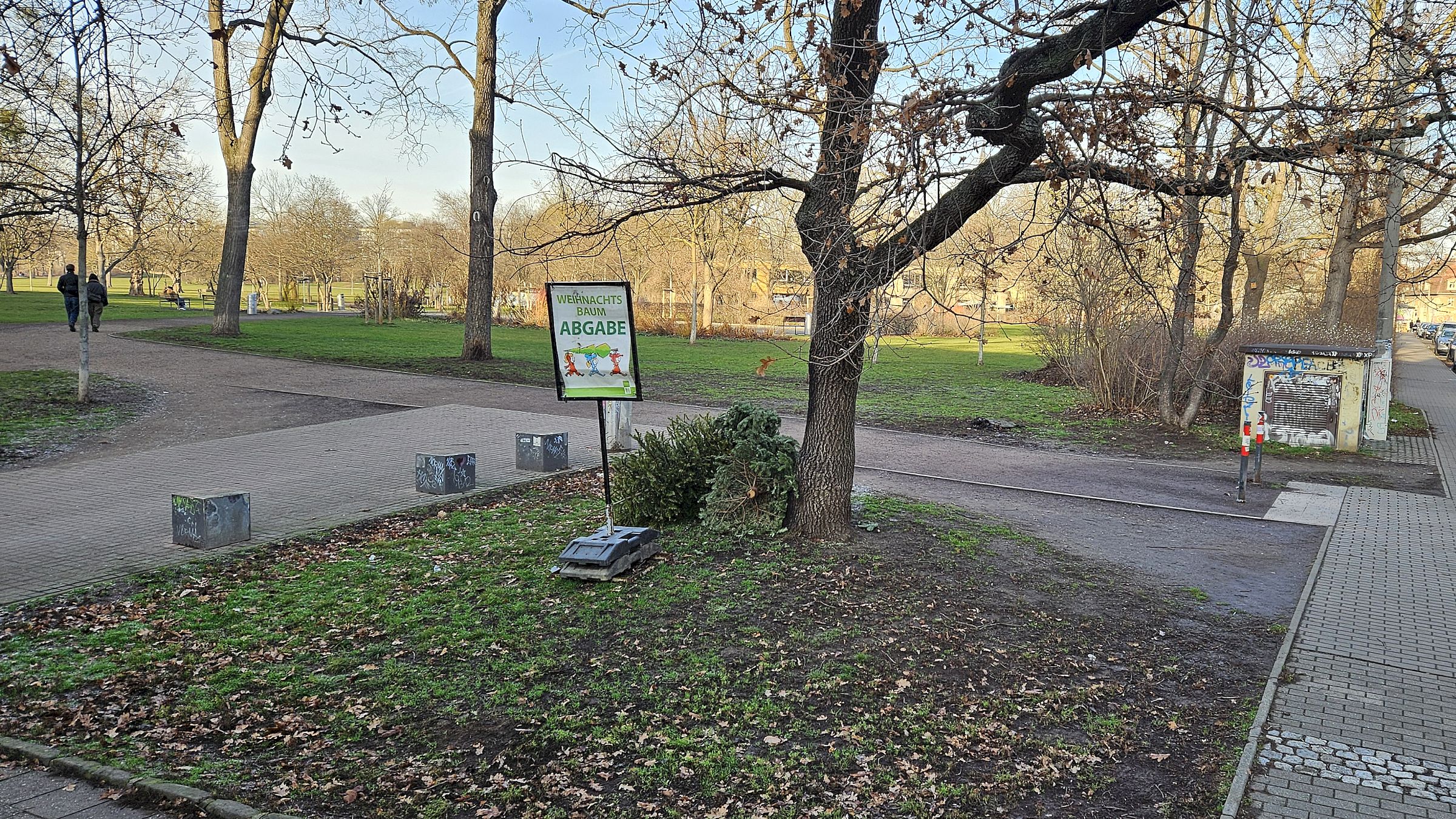 Die ersten ausgemusterten Bäumchen lagen schon am Freitag an der Sammelstelle am Alaunplatz. Foto: Anton Launer