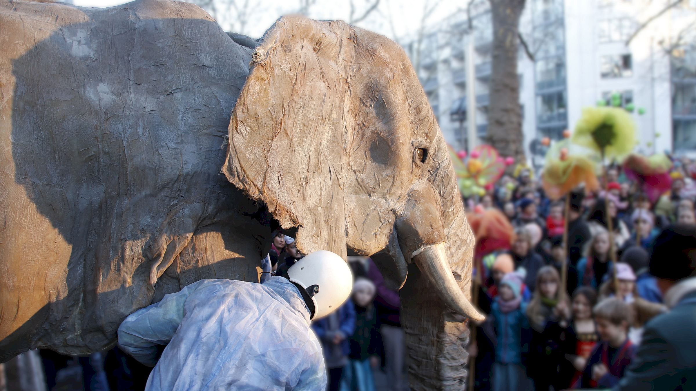 Staunend bewunderten die Kleinen die großen Tiere. Elefant und Nashorn und Zebra waren mit dabei. Foto: Anton Launer